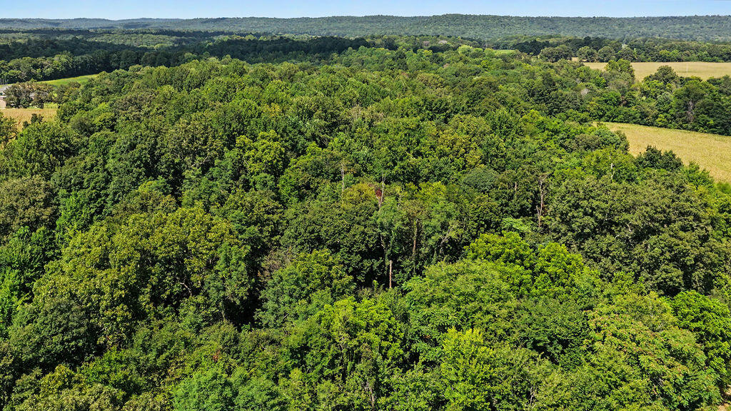12080 Johnson Mill Road Crofton, KY 42217 - Photo 13 of 35 DJI_20260821150525_0145_D