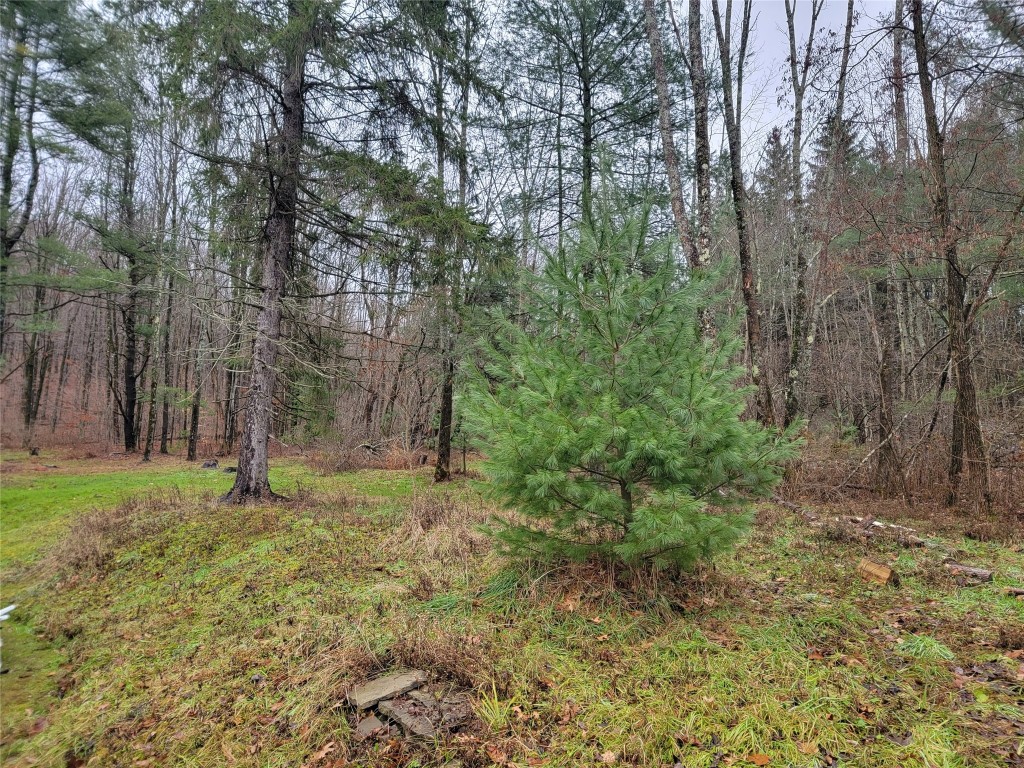 546 Philips Road Windsor, NY 13865 - Photo 3 of 19