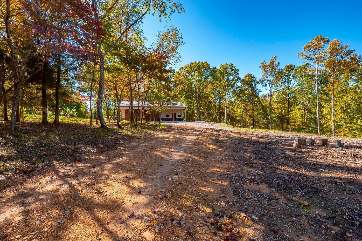 4125 Algie Sewell Road Santa Fe, TN 38482 - Photo 22 of 32 Gallery Image 22