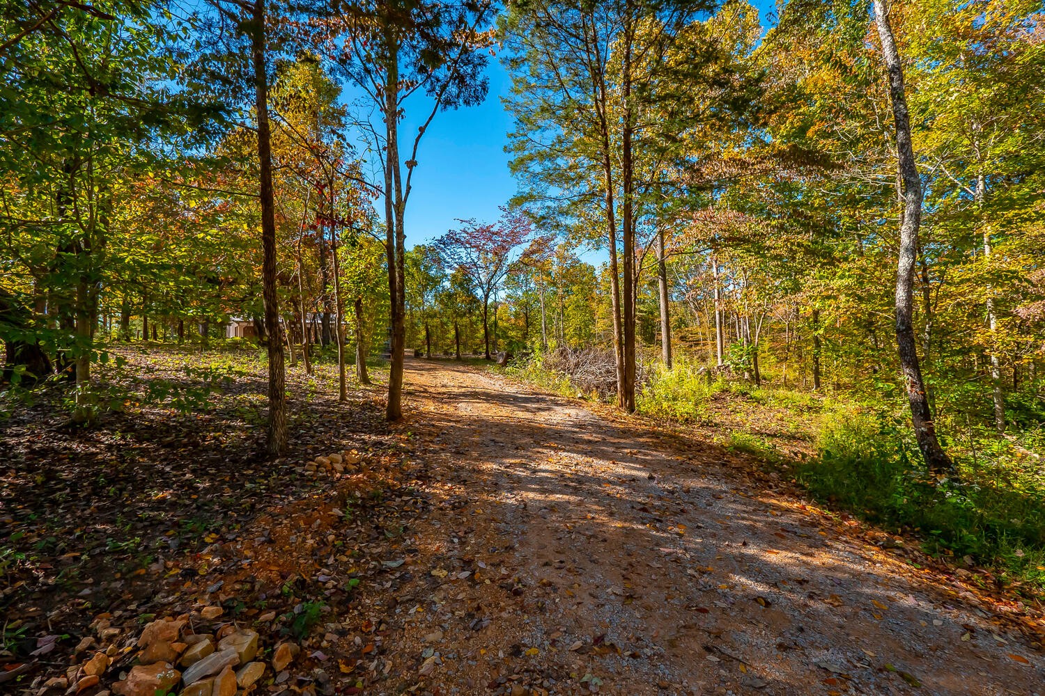 4125 Algie Sewell Road Santa Fe, TN 38482 - Photo 6 of 32 Gallery Image 6