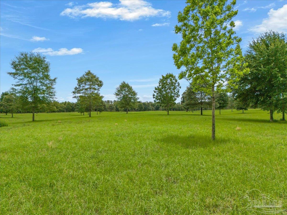 0 Dunsford Road Jay, FL 32565 - Photo 4 of 22
