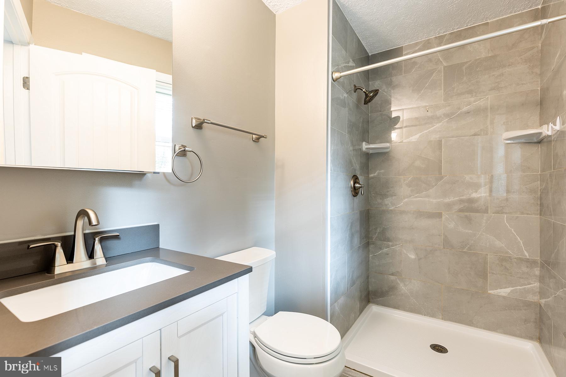 847 Harbor View Terrace Annapolis, MD 21409 - Photo 17 of 42 a bathroom with a sink a toilet and shower