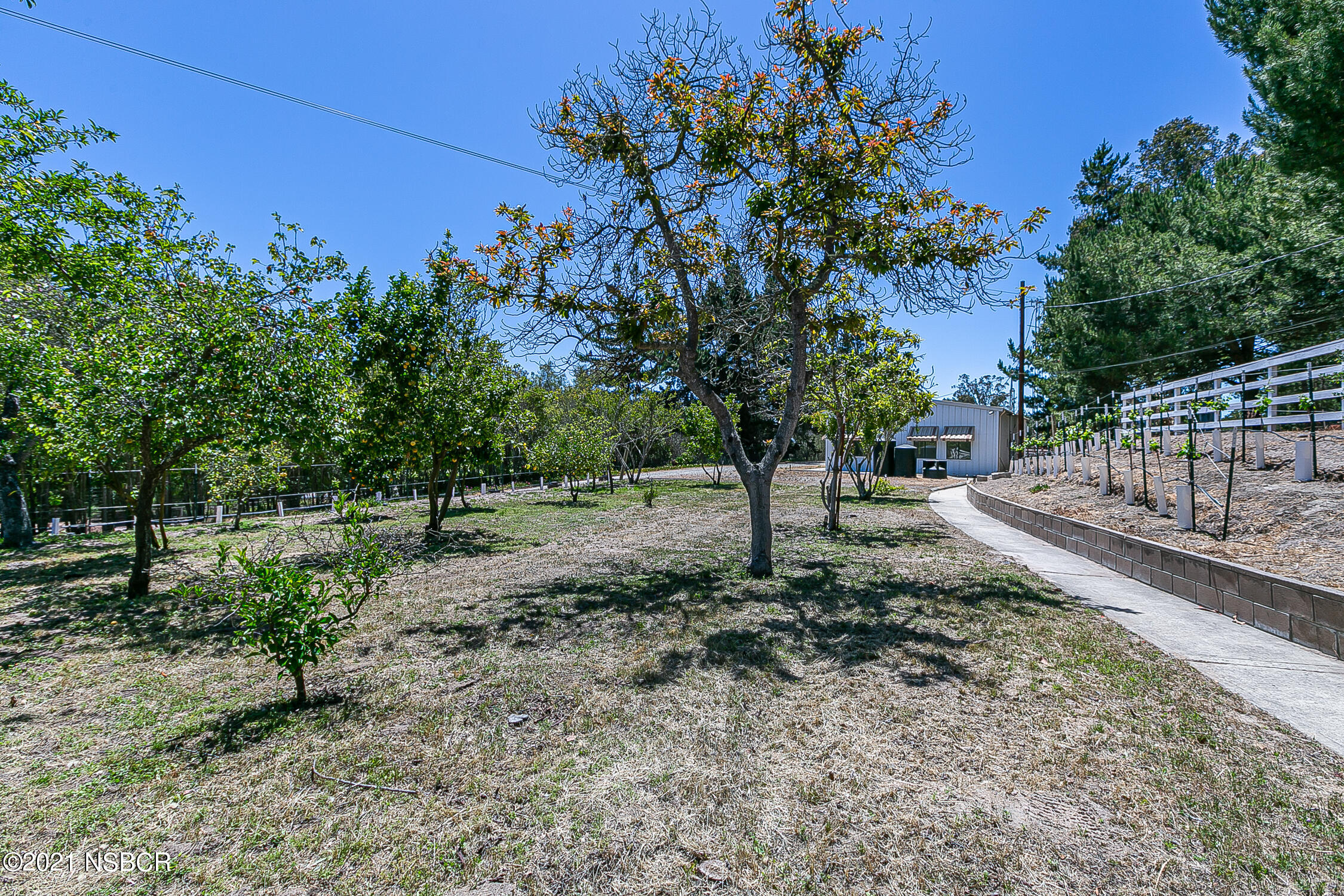 5375 Campbell Road Lompoc, CA 93436 - Photo 30 of 48 a view of a yard with plants and trees