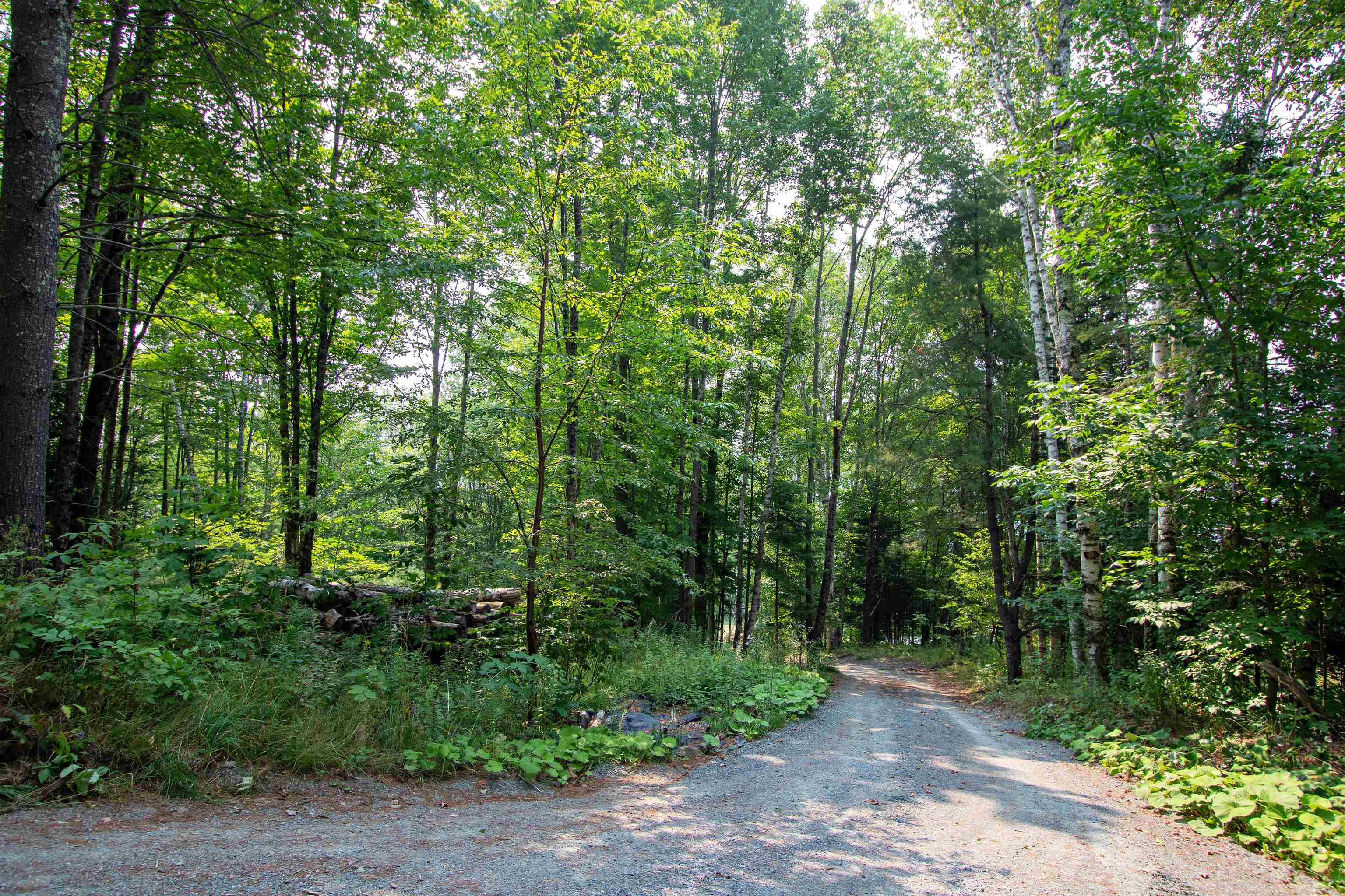 1201 Shadow Lake Road Waterford, VT 05819 - Photo 42 of 58