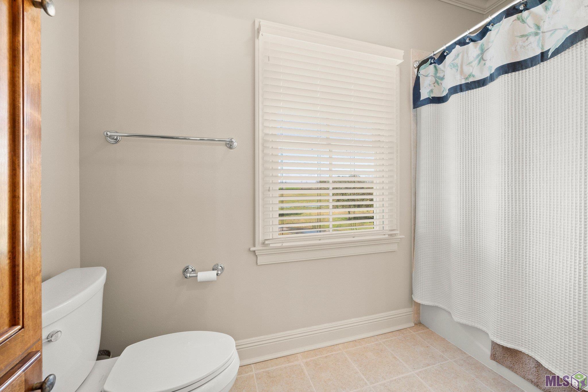 515 River Road Sunshine, LA 70780 - Photo 27 of 47 Gallery Image 27