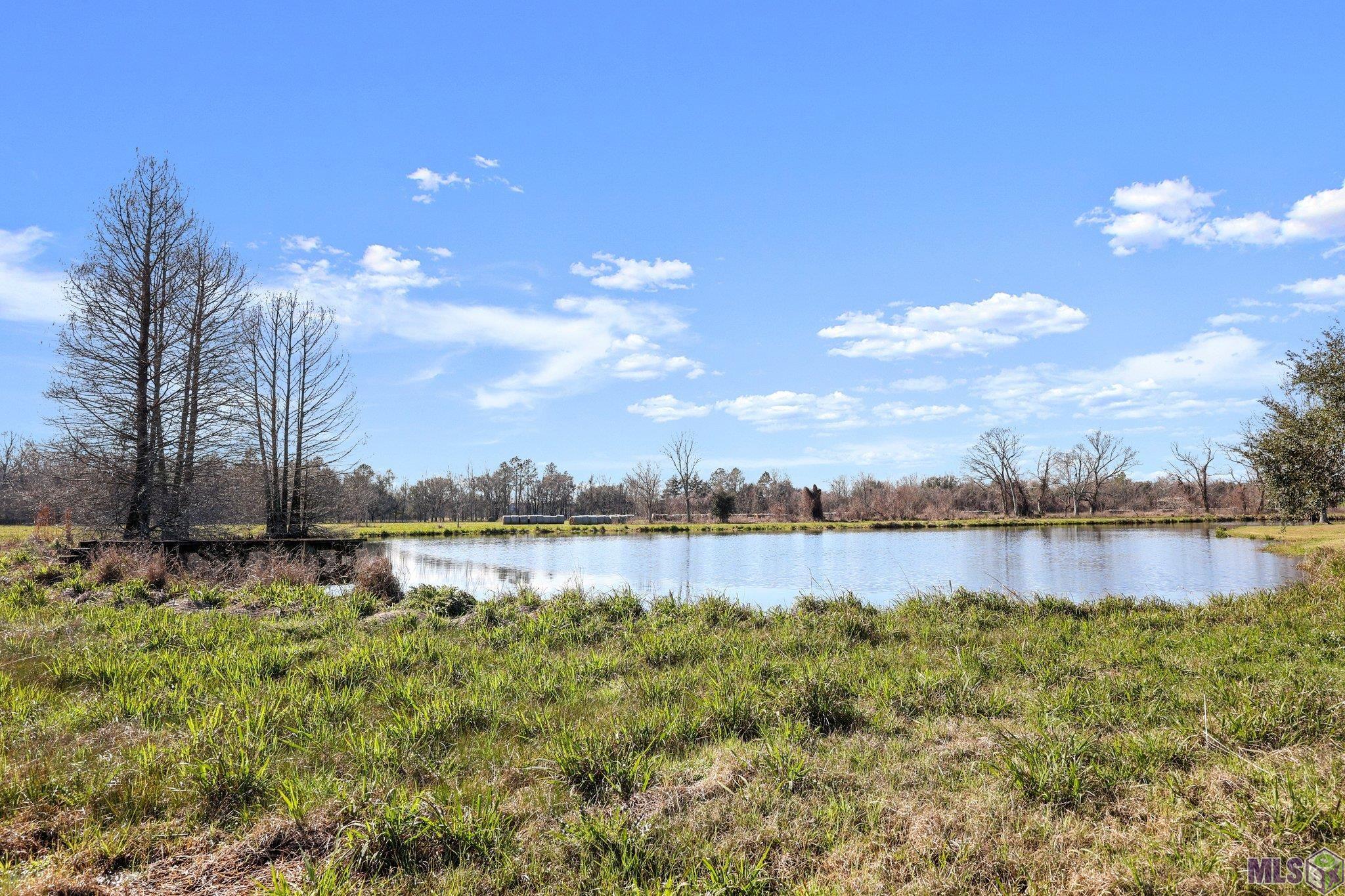 515 River Road Sunshine, LA 70780 - Photo 35 of 47 Gallery Image 35