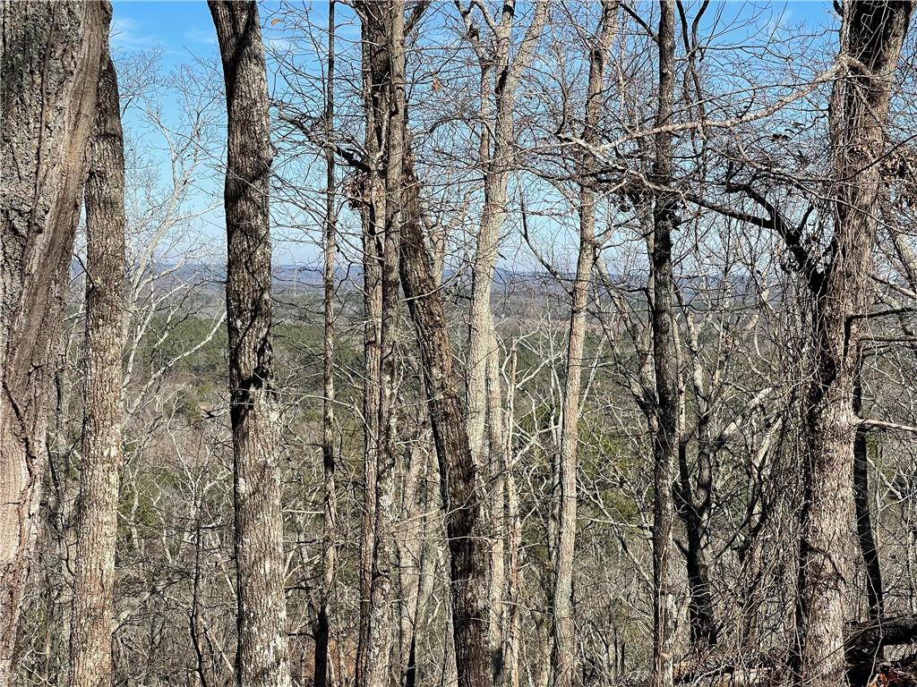 A Johnson Lake Road, Unit 0A Cedartown, GA 30125 - Photo 4 of 19 a view of forest