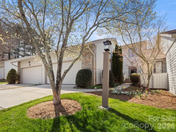 a tree in front of a white house