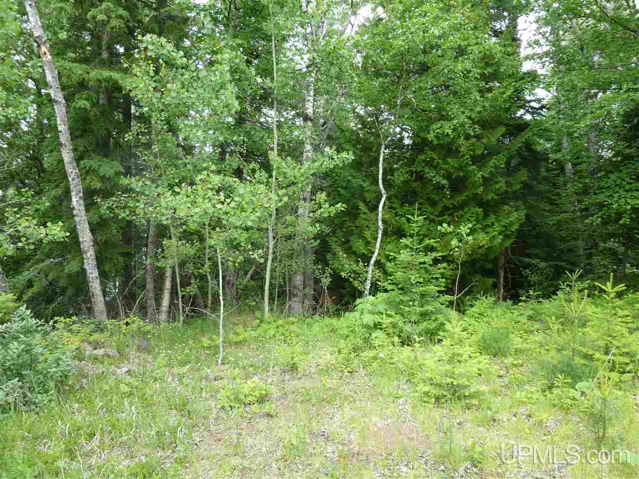 9419 Goodell Road Mohawk, MI 49950 - Photo 11 of 24