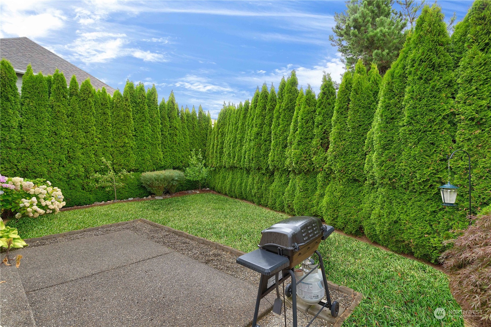 16722 166th Place Southeast Renton, WA 98058 - Photo 8 of 35 a view of a backyard with plants