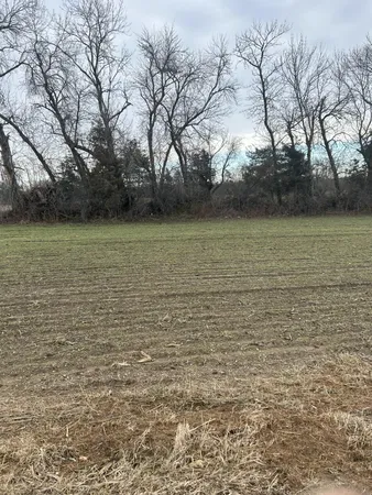 $170,000 | Lot 1 Orlando Avenue, Hastings, MN 55033