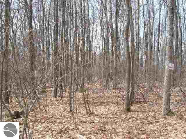 0 Wangler Road Rose City, MI 48654 - Photo 2 of 5 1762505-1.JPG