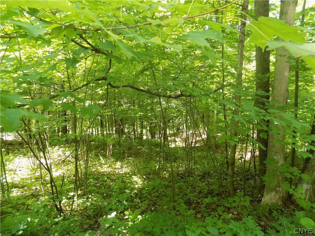 7760 Ny Route 79 Road Whitney Point, NY 13862 - Photo 8 of 23