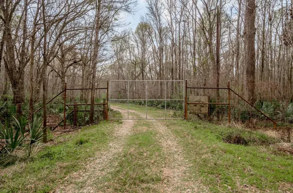 a view of backyard with trees