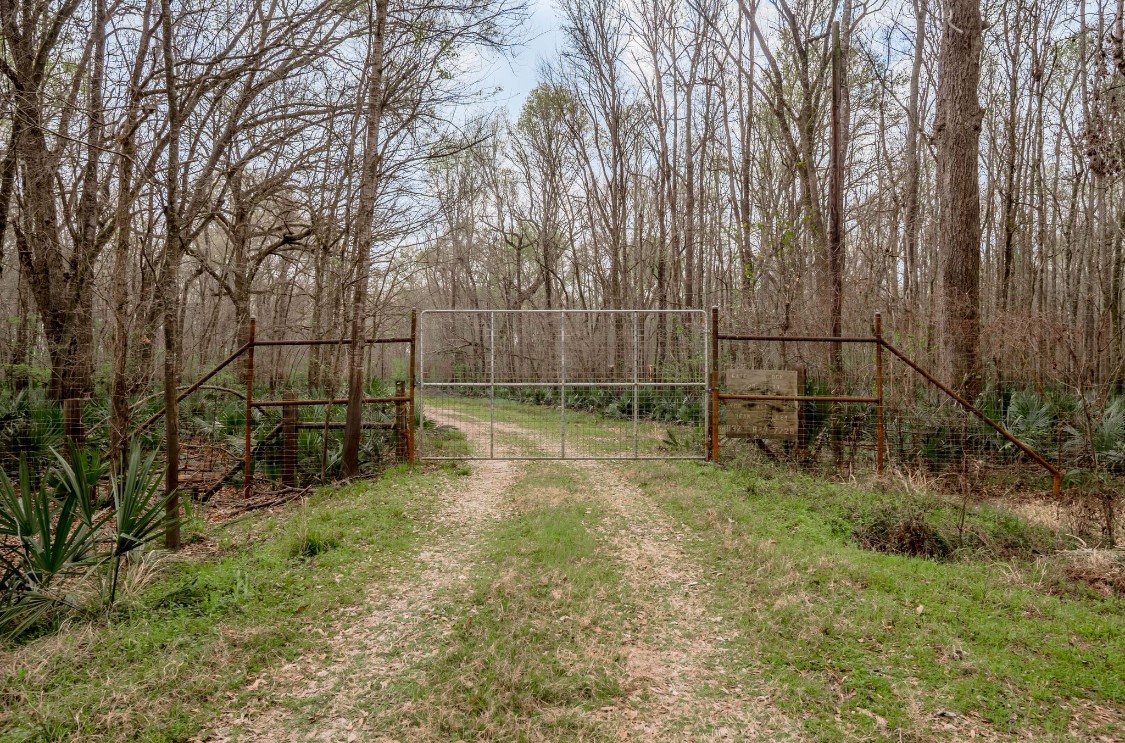 a view of backyard with trees