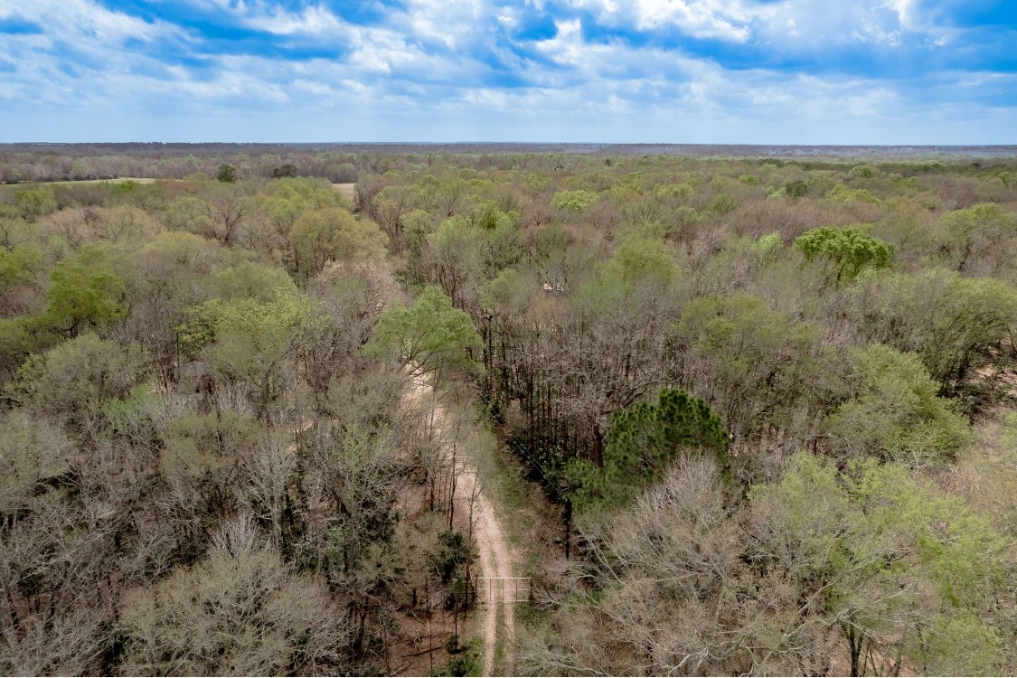 Lot 1-and Harper Branch Road Trinity, TX 75862 - Photo 11 of 21 a view of a field with an ocean and trees