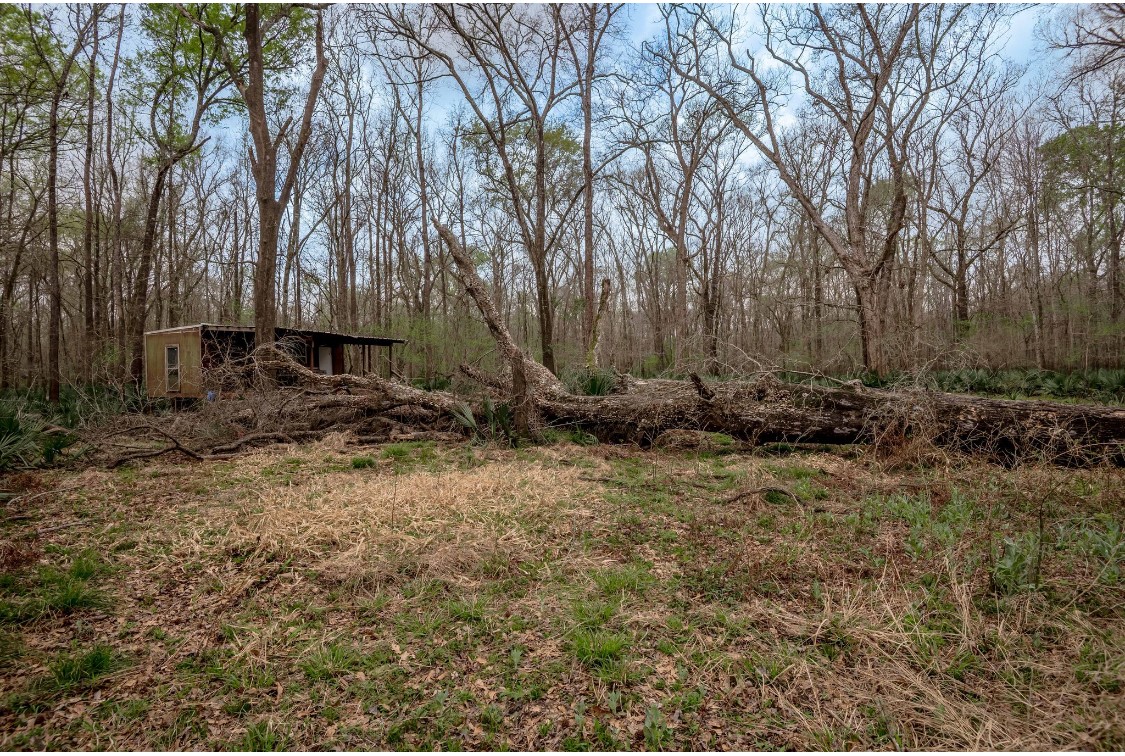 Lot 1-and Harper Branch Road Trinity, TX 75862 - Photo 19 of 21 a view of a backyard