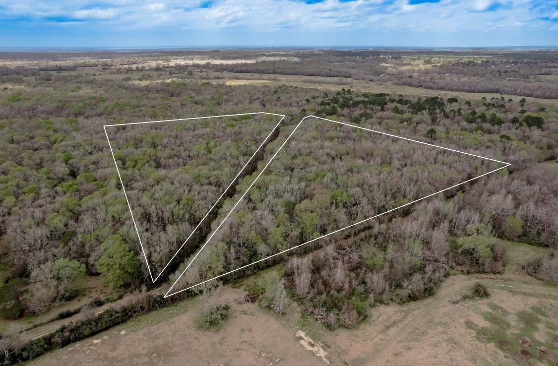 Lot 1-and Harper Branch Road Trinity, TX 75862 - Photo 2 of 21 a view of a room