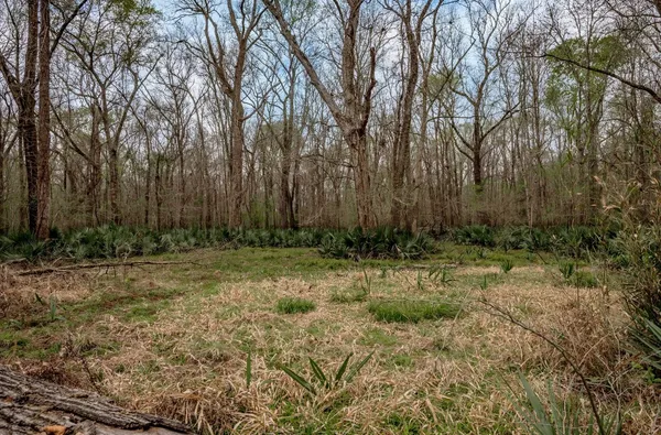 a view of backyard with green space