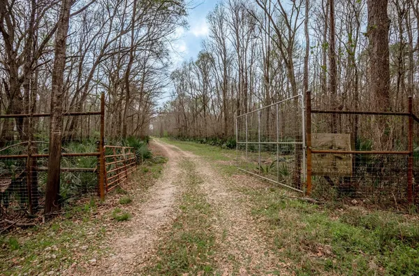 a view of backyard with wooden fence