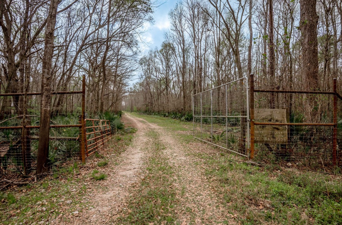 Lot 1-and Harper Branch Road Trinity, TX 75862 - Photo 3 of 21 a view of backyard with wooden fence