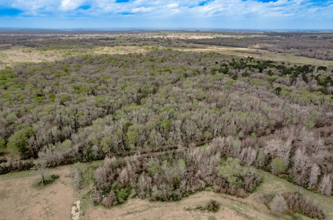 Lot 1-and Harper Branch Road Trinity, TX 75862 - Photo 5 of 21 a view of an ocean