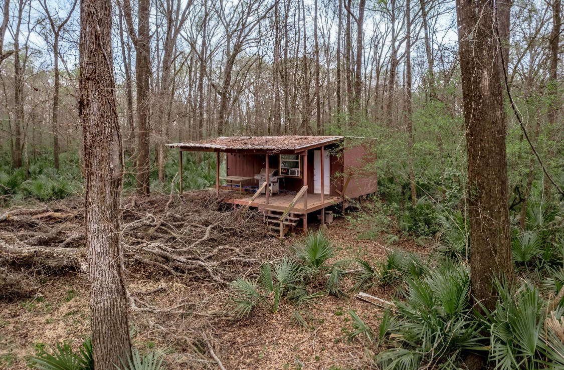 Lot 1-and Harper Branch Road Trinity, TX 75862 - Photo 7 of 21 a view of a patio with chairs and plants