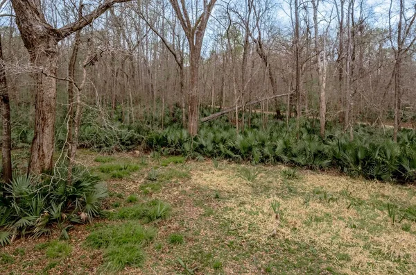 a view of backyard with green space