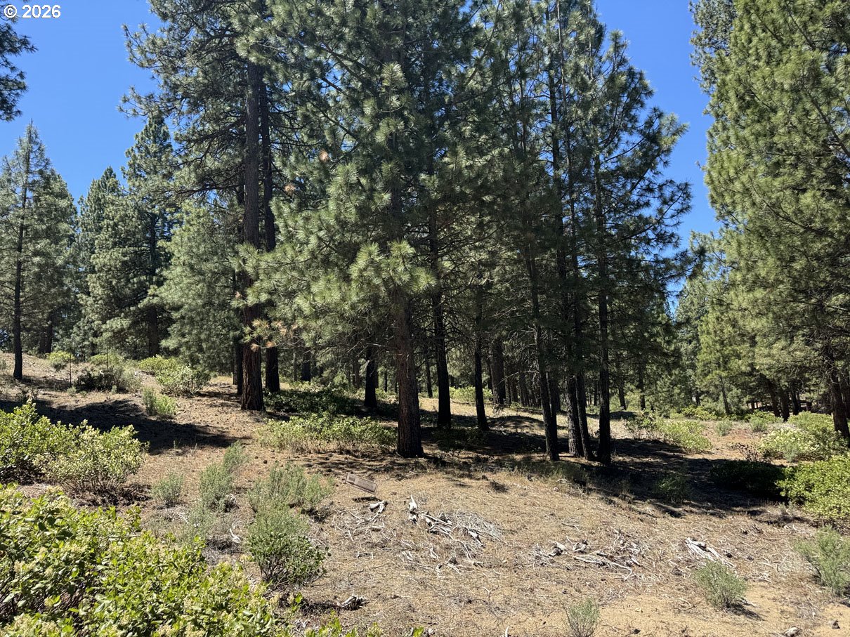 Incline Drive, Unit 22 Chiloquin, OR 97624 - Photo 18 of 19