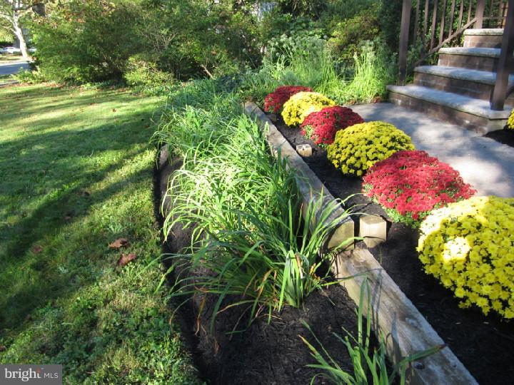 164 Valley Road Princeton, NJ 08540 - Photo 3 of 19 Front Yard