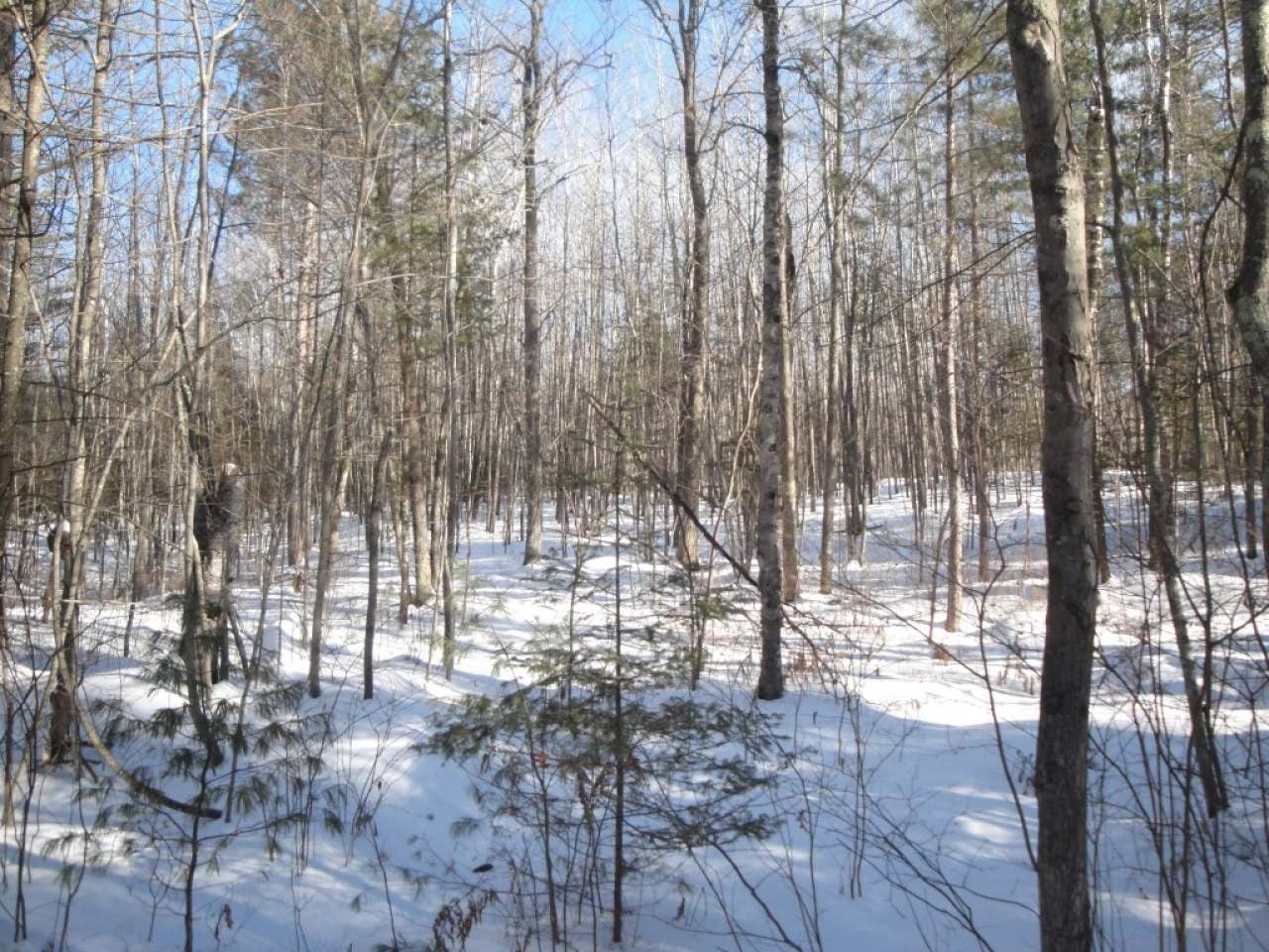 Lot 2 Cedar Lane Rhinelander, WI 54501 - Photo 12 of 19 Gallery Image 12