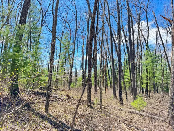 $13,500 | 0 West Franklin Street, Bitely, MI 49309