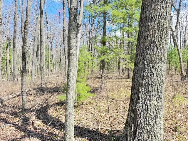 $13,500 | 0 West Franklin Street, Bitely, MI 49309