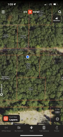 $13,500 | 0 West Franklin Street, Bitely, MI 49309