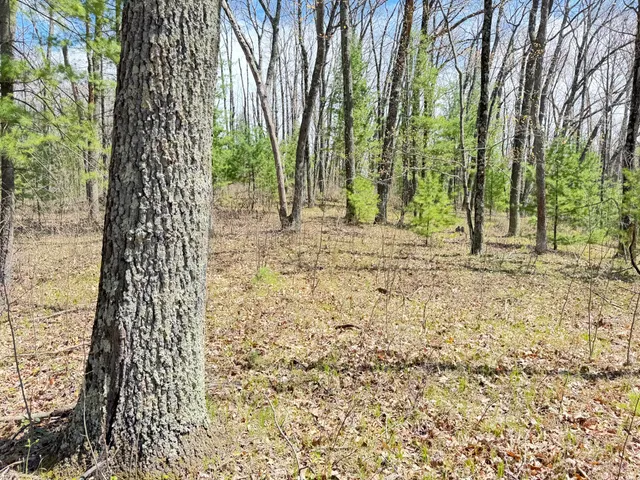 $13,500 | 0 West Franklin Street, Bitely, MI 49309