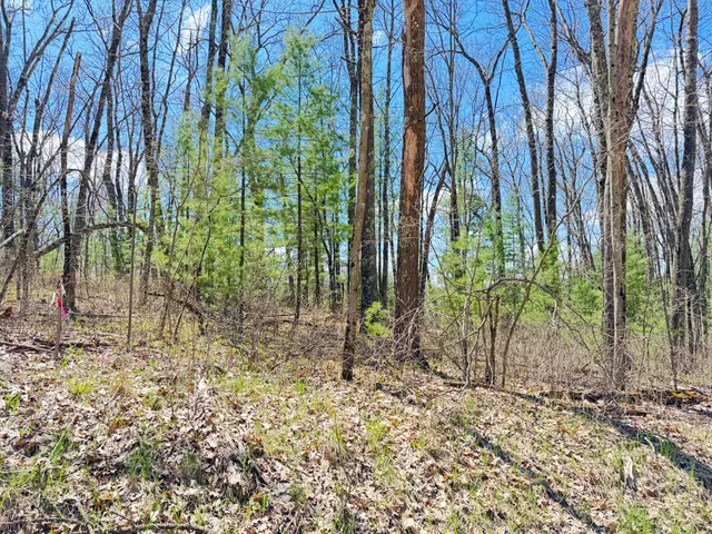 $13,500 | 0 West Franklin Street, Bitely, MI 49309