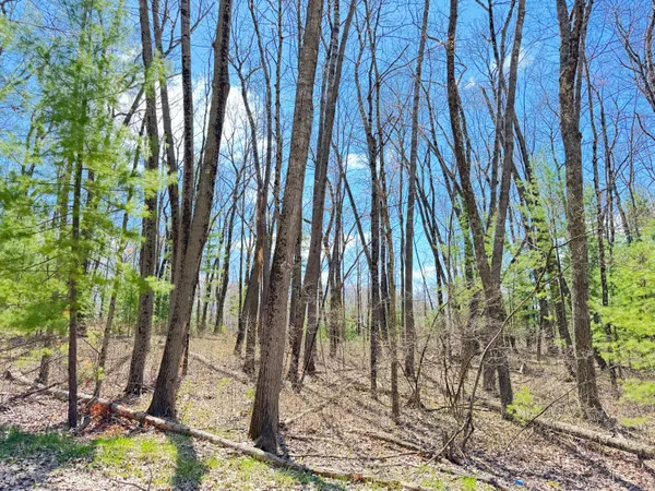 $13,500 | 0 West Franklin Street, Bitely, MI 49309