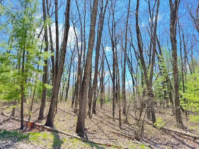 $13,500 | 0 West Franklin Street, Bitely, MI 49309