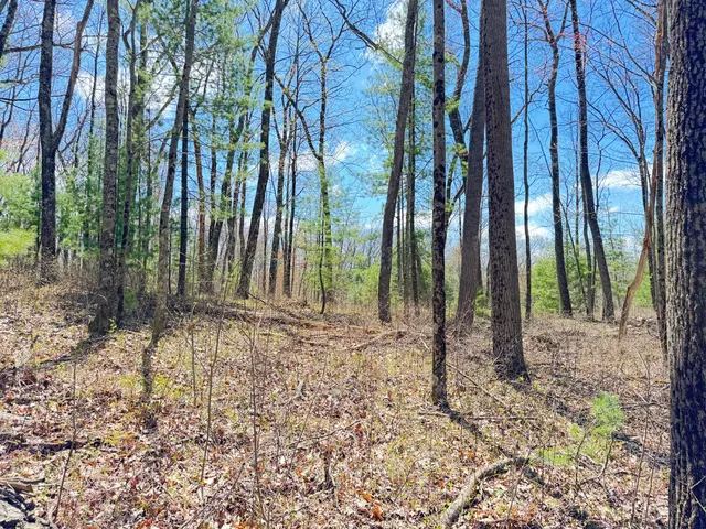 $13,500 | 0 West Franklin Street, Bitely, MI 49309