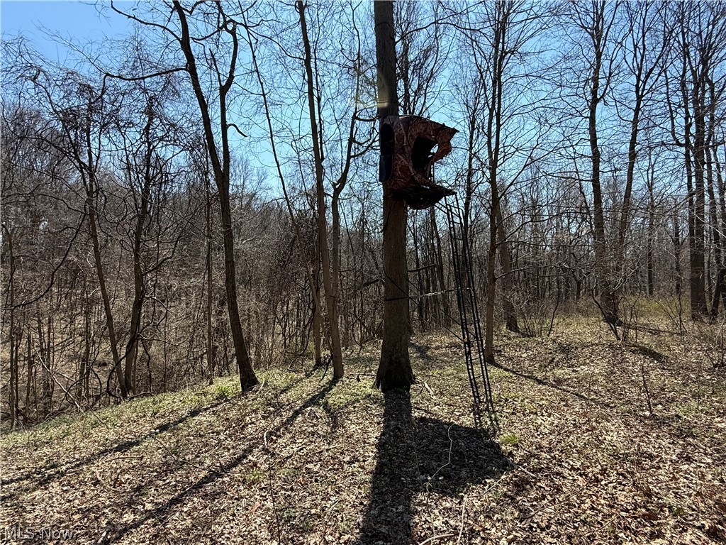 0 Kragel Road Richmond, OH 43944 - Photo 12 of 31