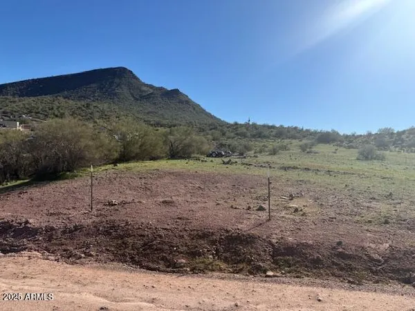 a view of a large mountain with trees in the background