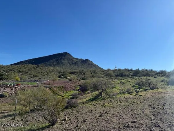 a view of a dry yard