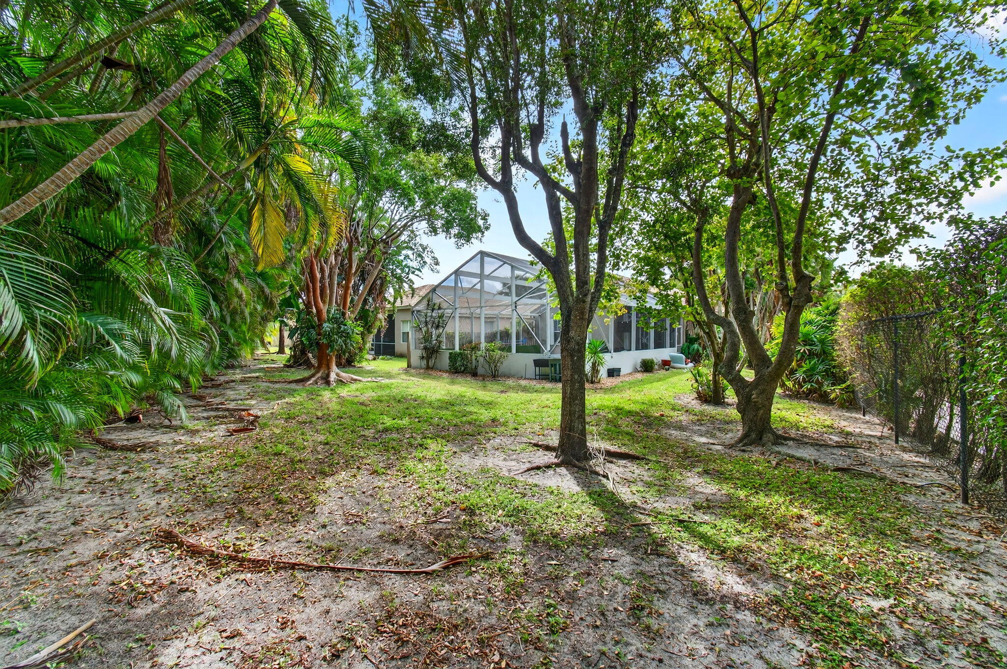 6737 Southport Drive Boynton Beach, FL 33472 - Photo 68 of 99 a view of a tree in a yard