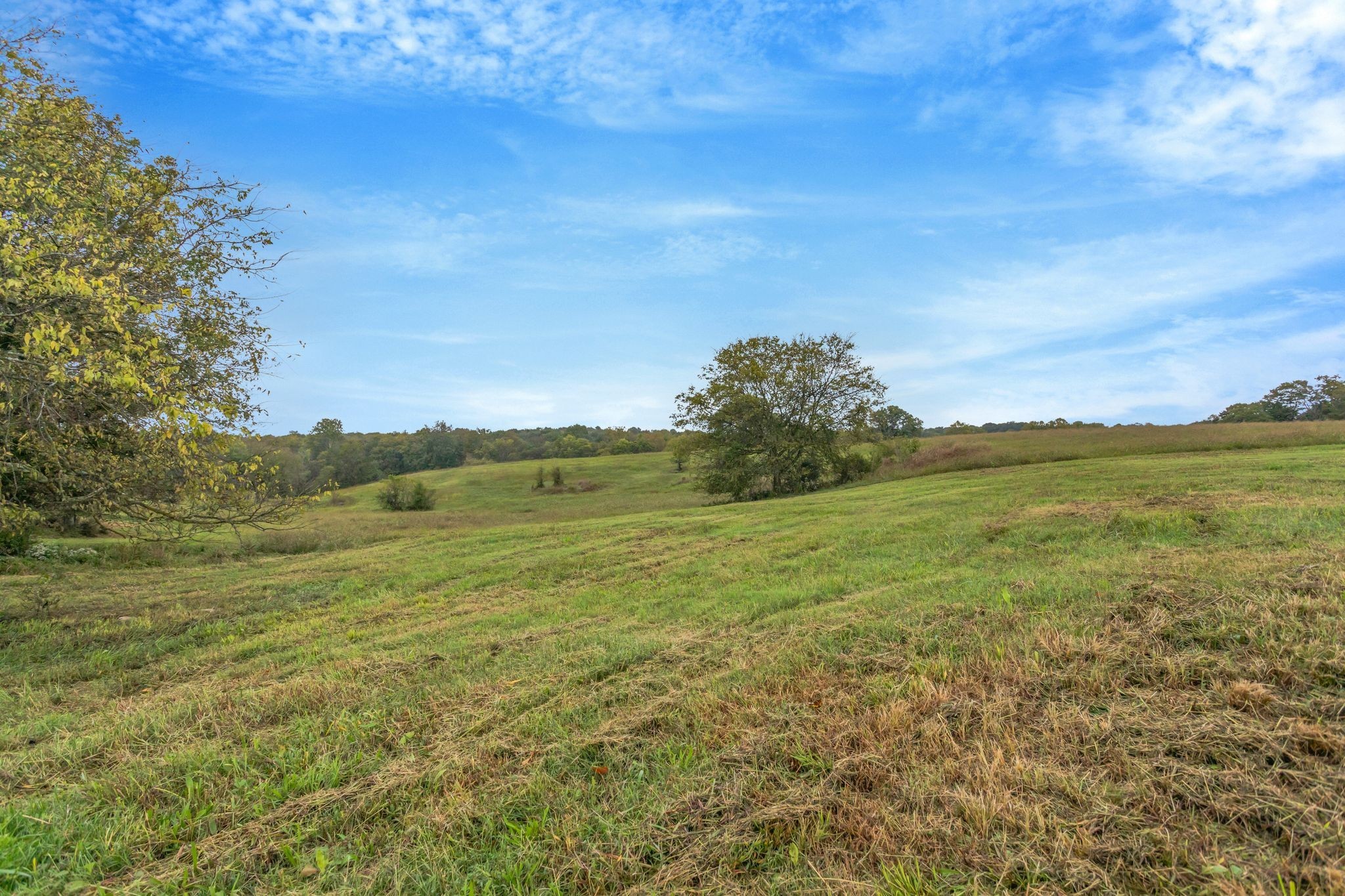 1597 John Sharp Road Spring Hill, TN 37174 - Photo 55 of 58 Gallery Image 55