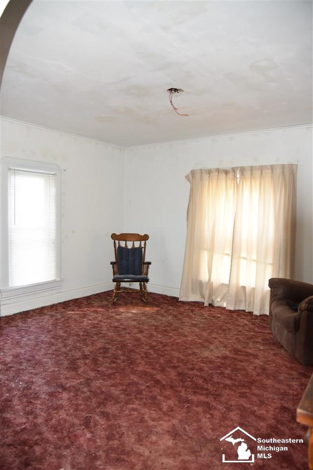 201 Raisin Street Deerfield, MI 49238 - Photo 10 of 25 31397450-9.JPG