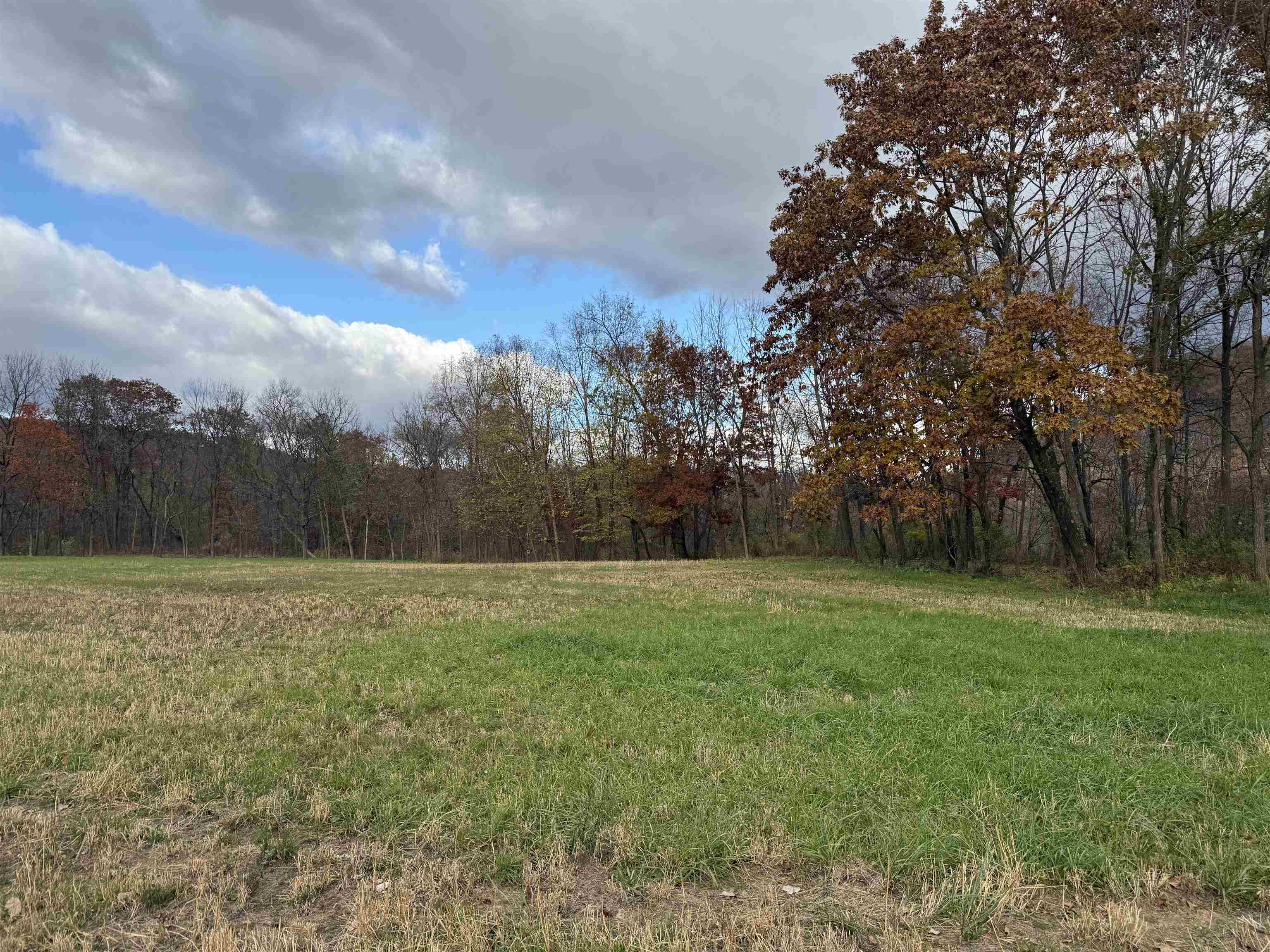 8.38 M/l Acres Cty Rd C Ferryville, WI 54628 - Photo 11 of 22