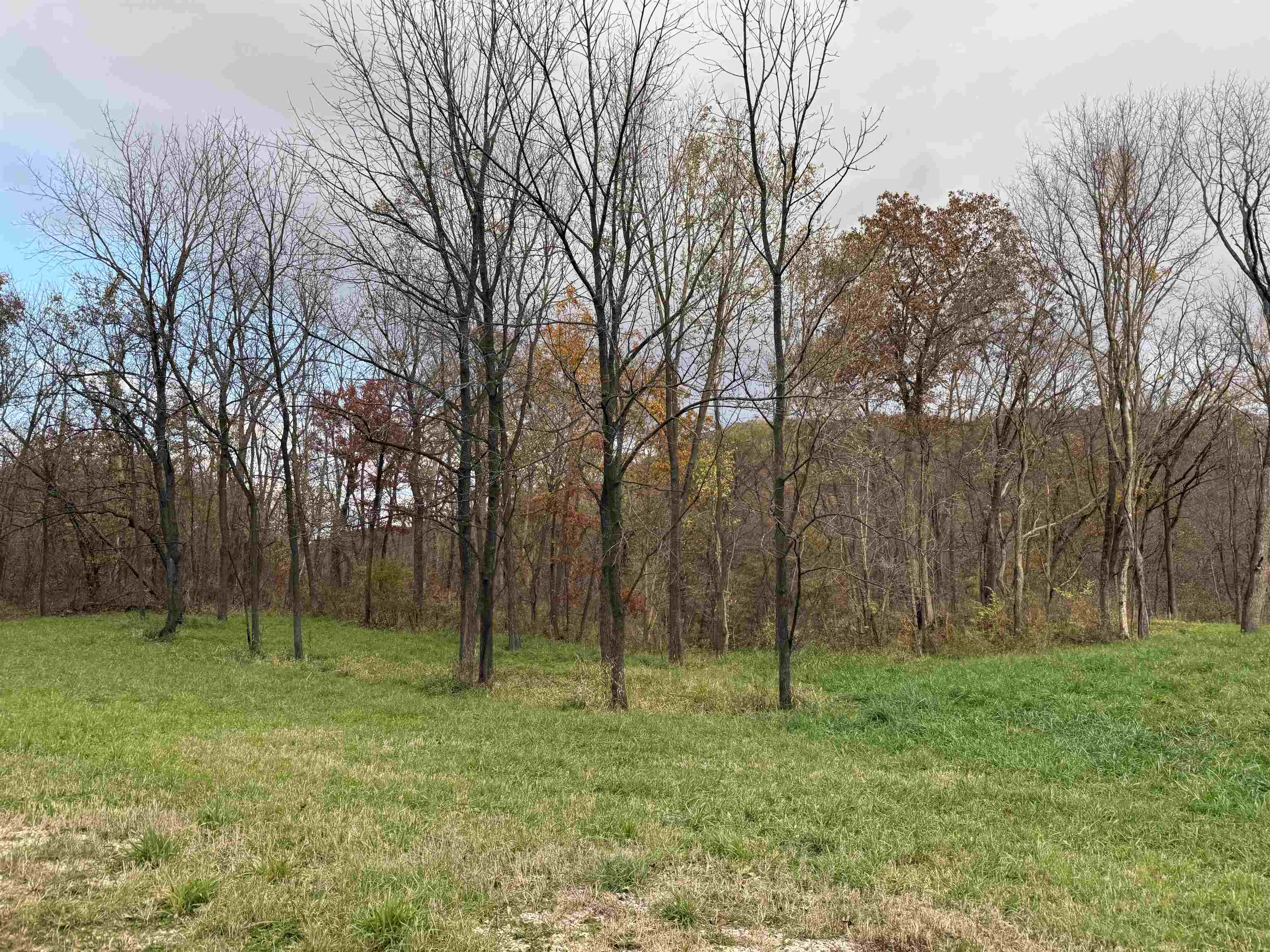 8.38 M/l Acres Cty Rd C Ferryville, WI 54628 - Photo 4 of 22