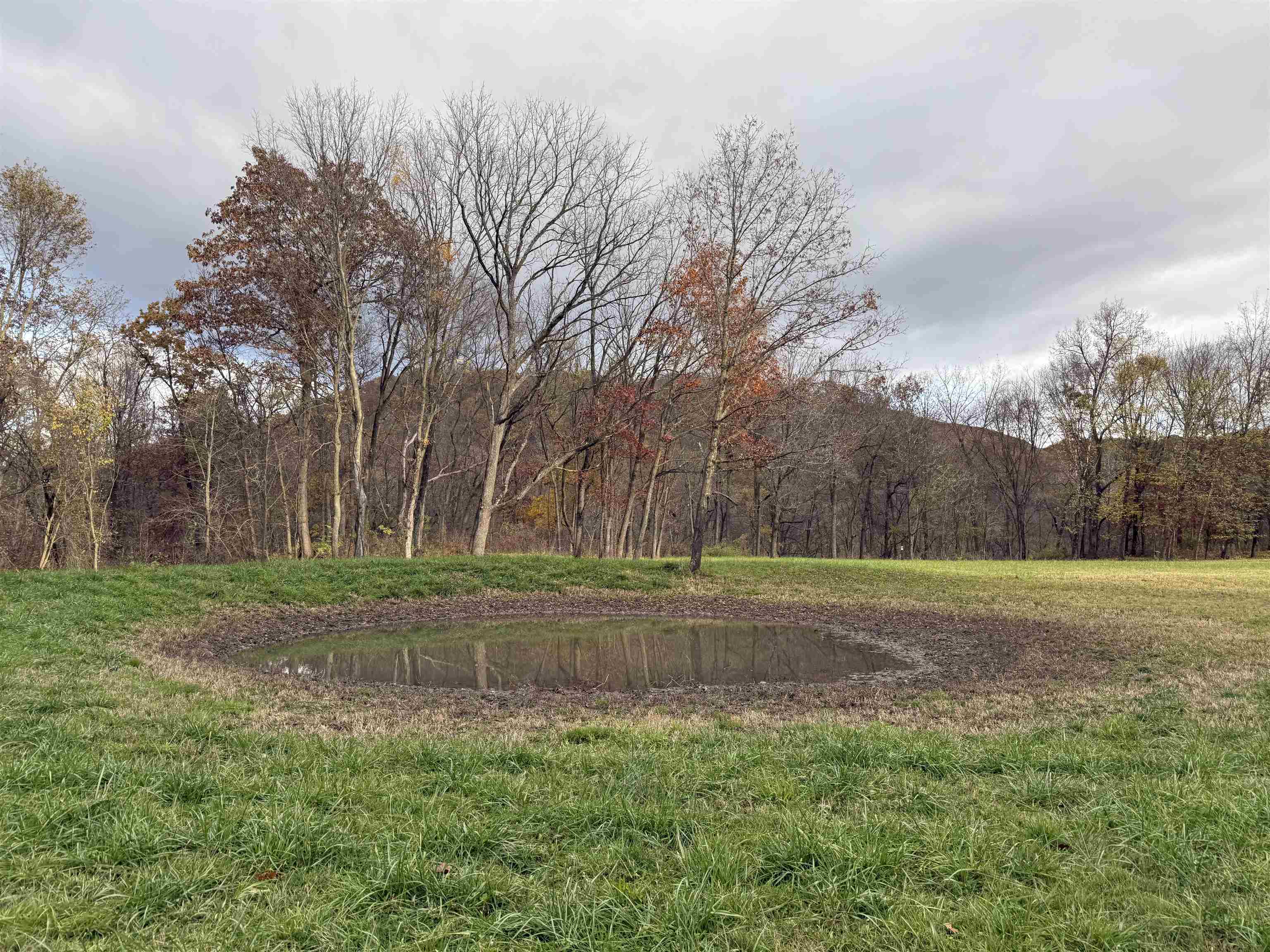 8.38 M/l Acres Cty Rd C Ferryville, WI 54628 - Photo 6 of 22