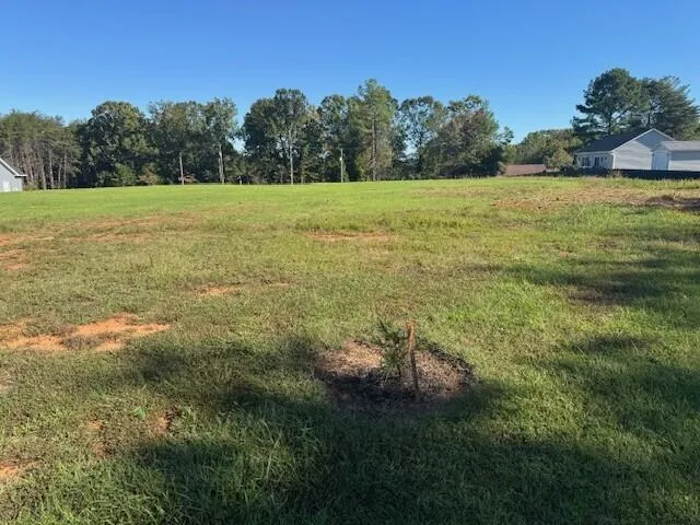 a view of an outdoor space and a yard