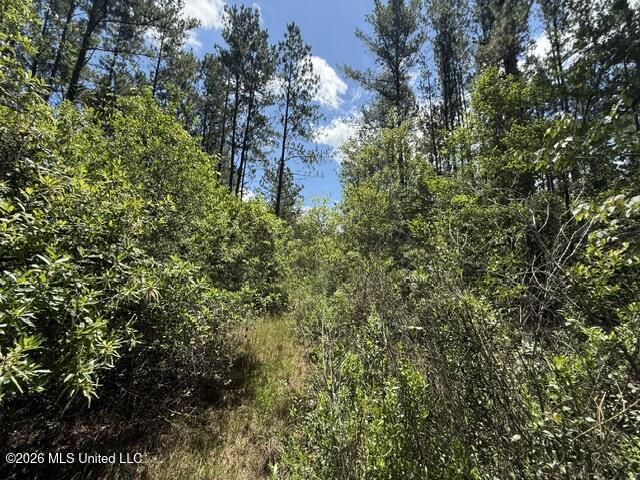 Elmer Hamilton Road Road Moss Point, MS 39562 - Photo 27 of 27 IMG_4858